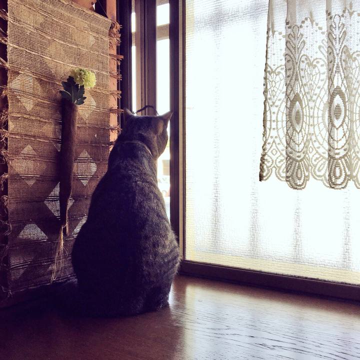 Bb827ab6 a1c8 42b9 8f1a 30a30484fb73