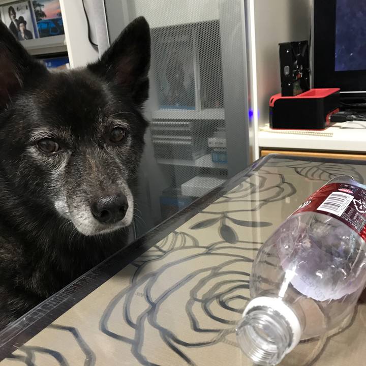 Bb82de51 dcb5 4c57 a2d0 73fb8b688646