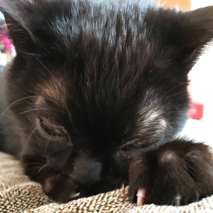 Bb83809f 2ec8 417f a7ec 52781d1baf9d