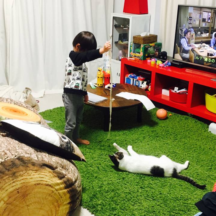 Bb86685d 0df4 4afb 9775 6fa4dcf632e5