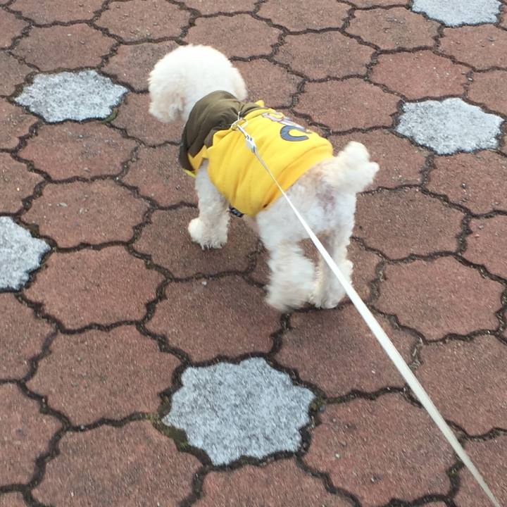 Bb867739 a7f3 4c99 8f6b fba5b06dea1d