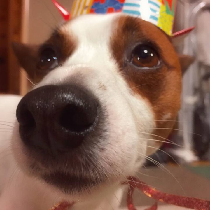 Bb868c2b d00e 4752 aa23 720ef83ed828