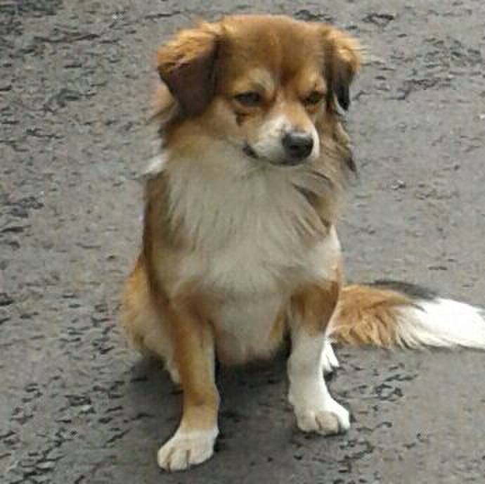 Bb8759e6 4e39 4913 8741 b2526ff43d77