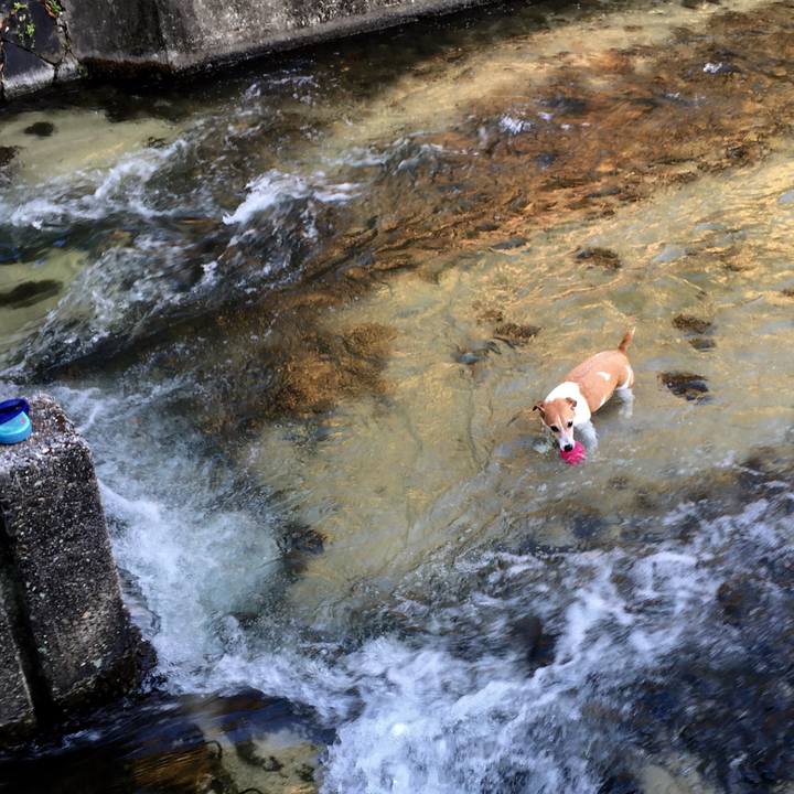 Bb87a544 3c02 4445 bb03 ef4eb0e3a806