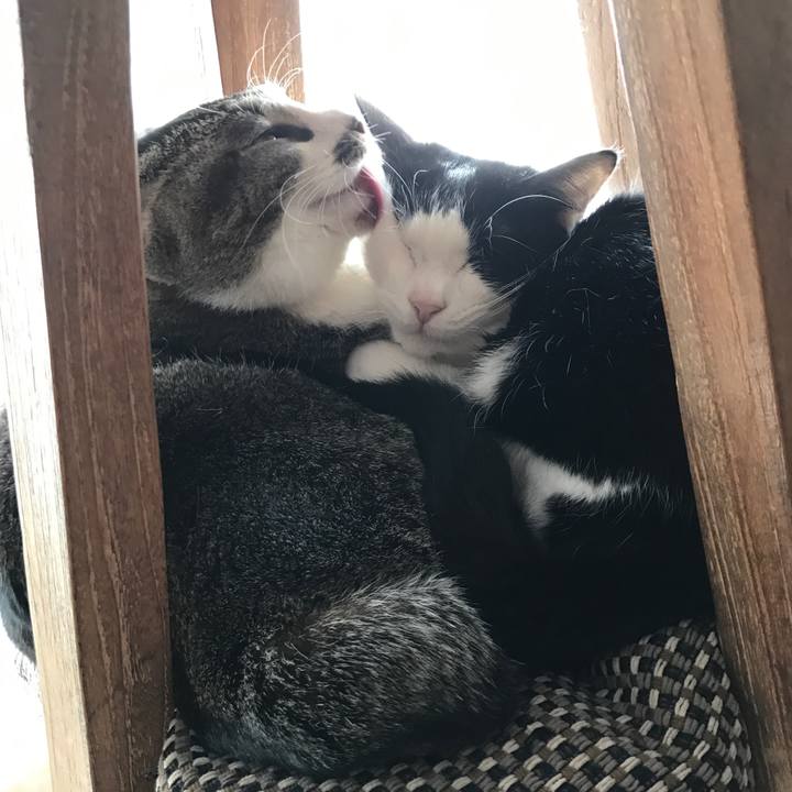 Bb88ff21 cc6b 452c b6e2 2bfffee91130