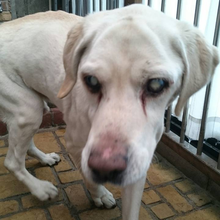 Bb89ccc2 2455 4df0 82e2 5c84abcf8df3