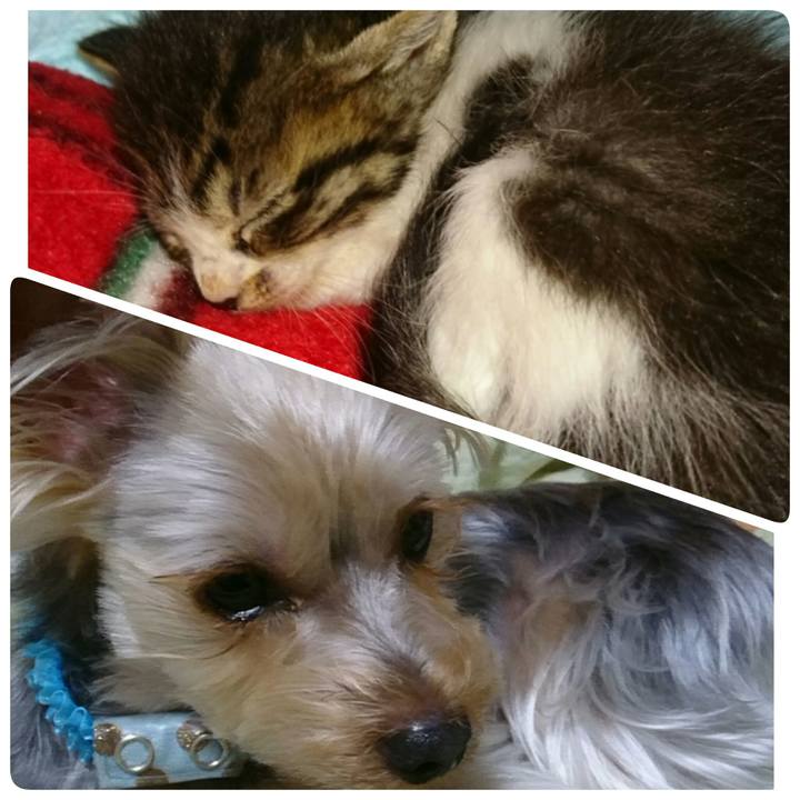 Bb8a19ab e2cf 4bc4 9275 a3eeb5a90545