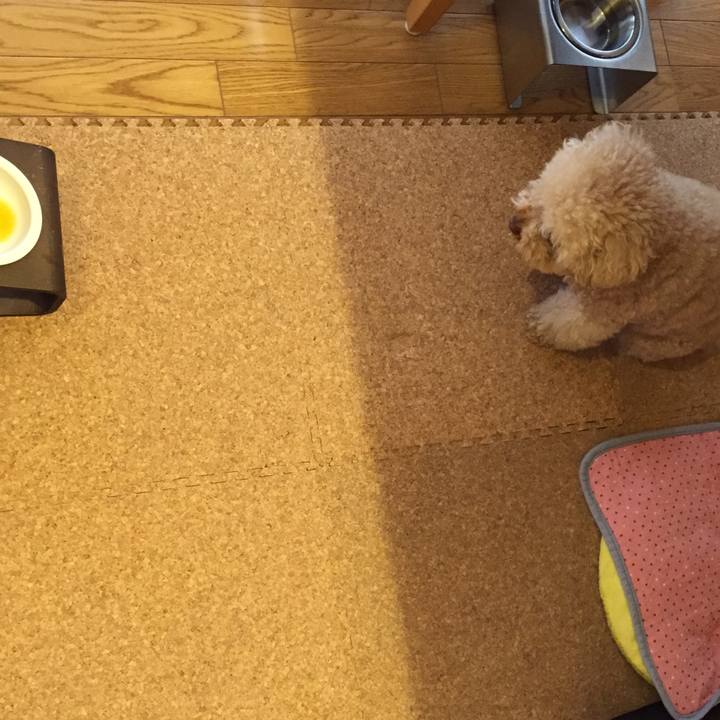 Bb8a922e 878a 4677 a0c5 ca5feef3f5c5