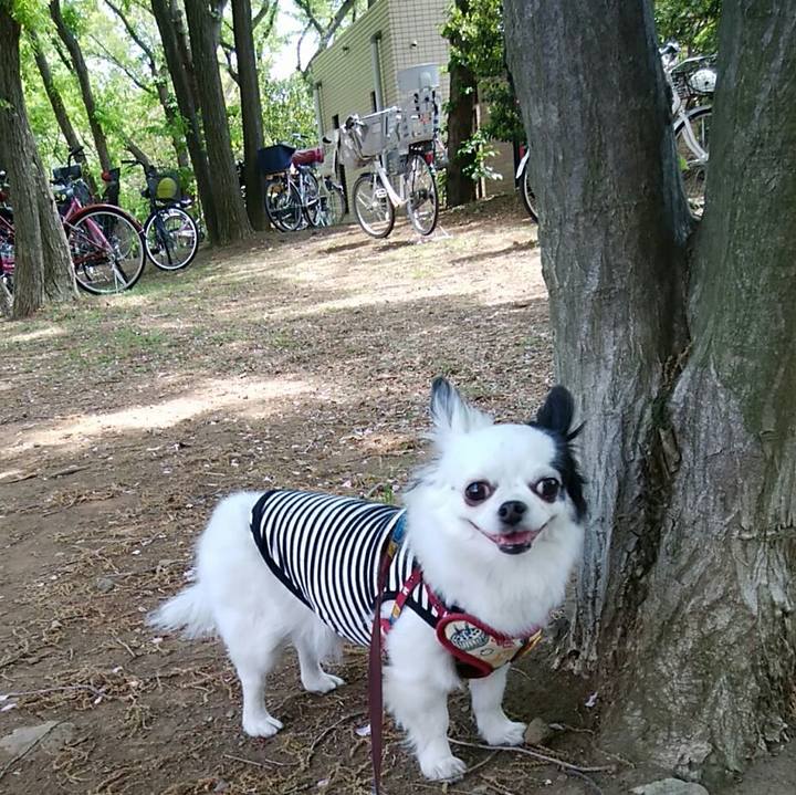 Bb8b0d1a b1b1 4772 b785 debdd751078c