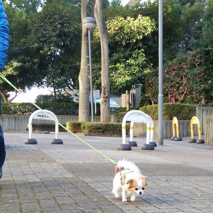 Bb8b12c6 f7c8 4375 9292 2b3578e8dfb4