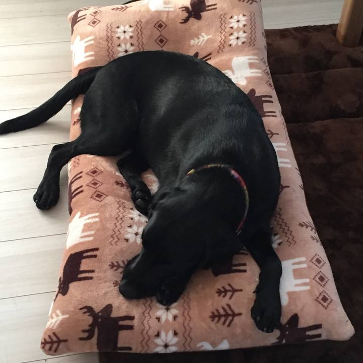 Bb8b7893 28b6 4198 a172 6d0c41d5da61