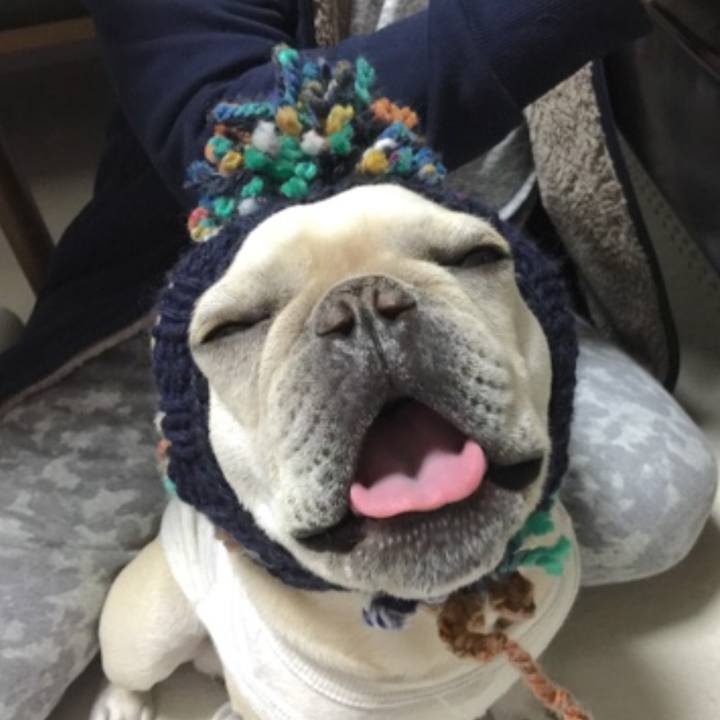 Bb8be755 0a06 493b 8e83 2baf9eea8df1