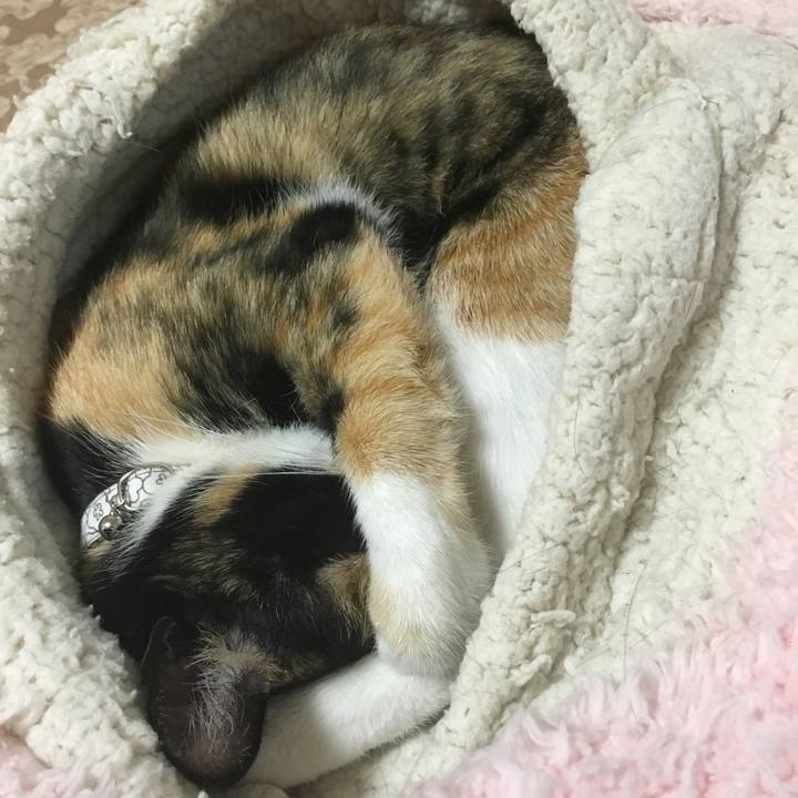 Bb8c1e6e 1131 440a b20e 1c779425d684