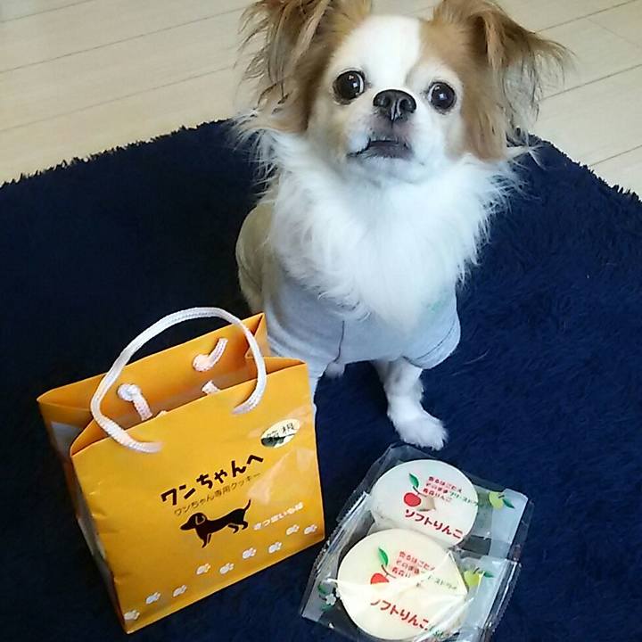 Bb8d69eb 5954 4e63 b540 61b32b457ac1