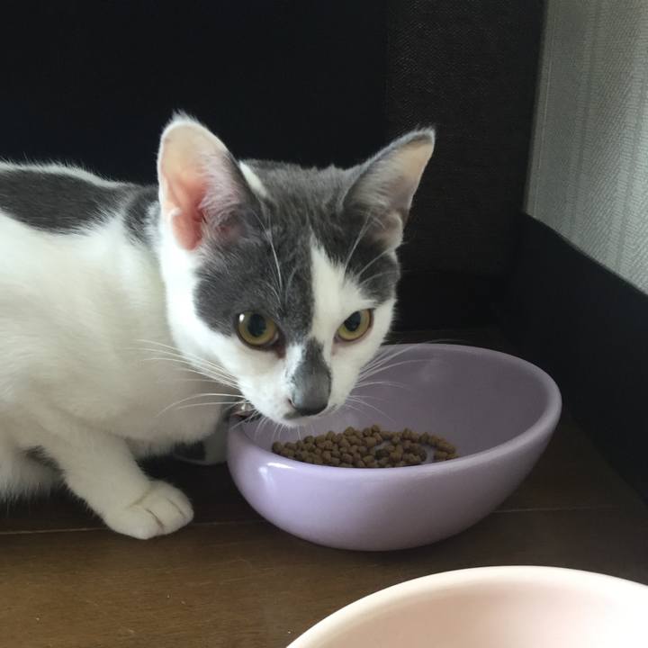 Bb8da8b4 1c44 43ce ab44 46761ab29ad8