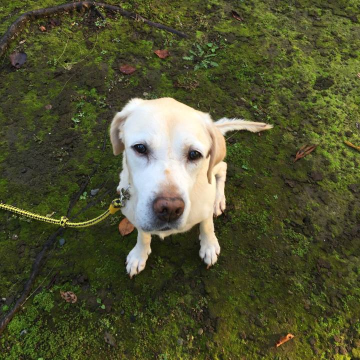 Bb8ea2f4 aa39 4b8c 8840 5063950159d3