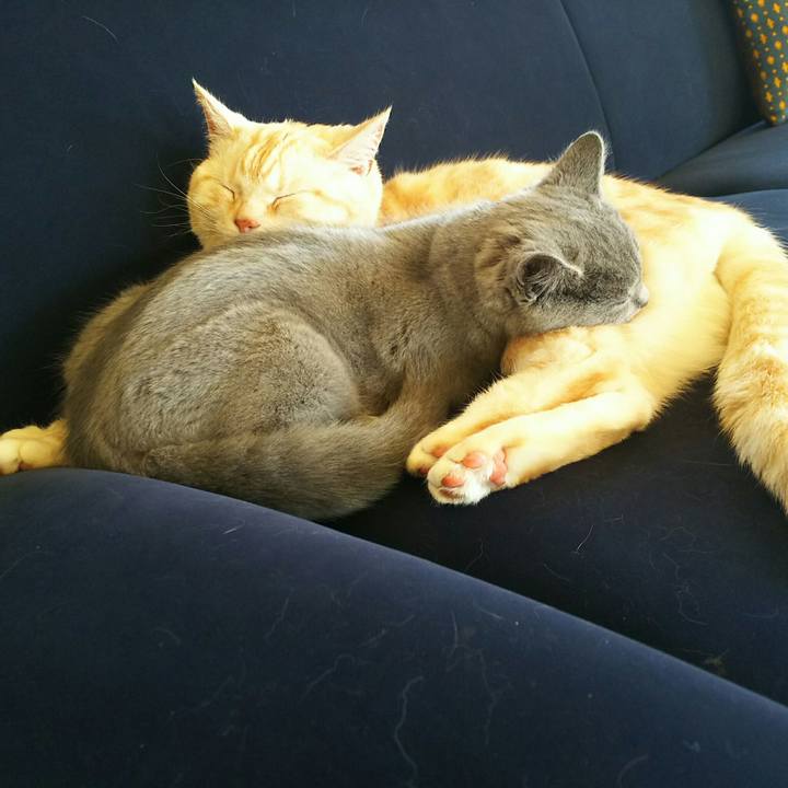 Bb8ecd1e 4b96 4f21 8391 1904cad0b255