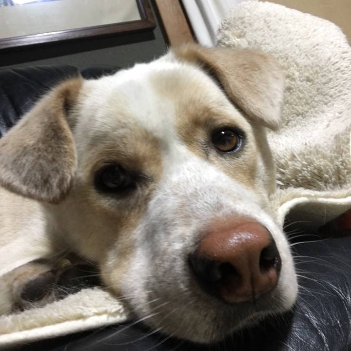 Bb8f2f43 0fec 40e4 a064 abcc1cf2db9b