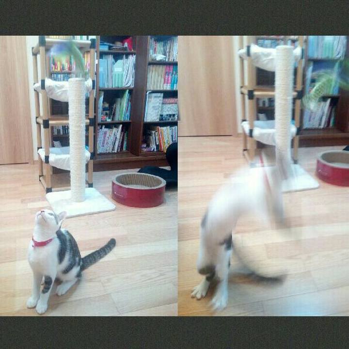 Bb8f45b6 0b9d 4d6f 91a2 04a91485ef0b