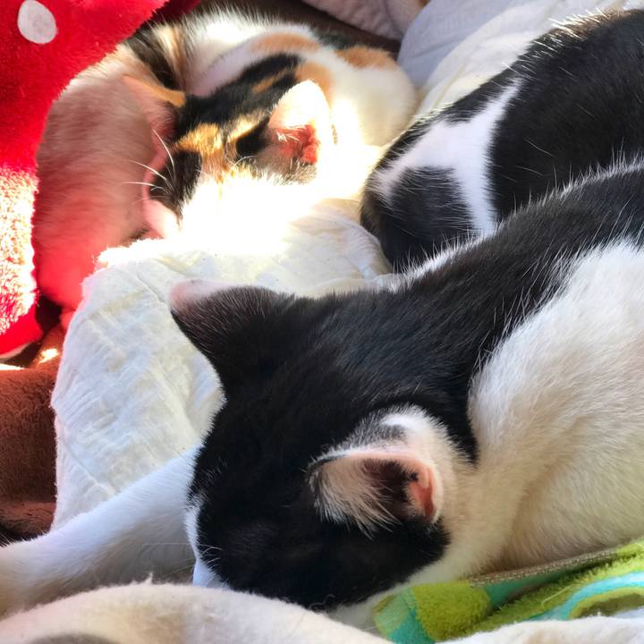 Bb8ff198 149c 4f18 a381 9a6a229b7e17