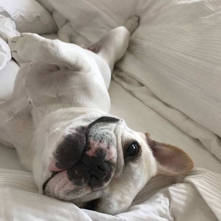 Bb909193 51ae 4d35 92cb 9991e3dca975