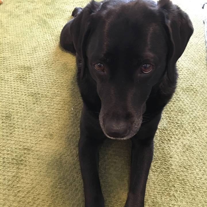 Bb90dae7 ab6b 4815 9c70 b4a5f2fdb3d9