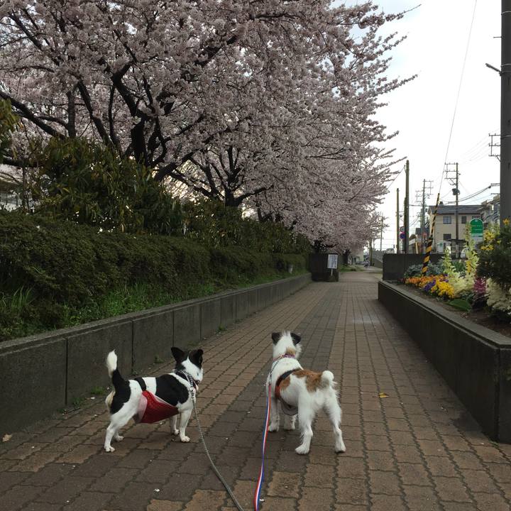 Bb9113ee f7ff 4d5b a16c f3e8676a5b65