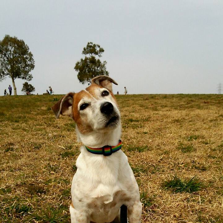 Bb918049 e9d4 4740 a78a a24517cf56ad