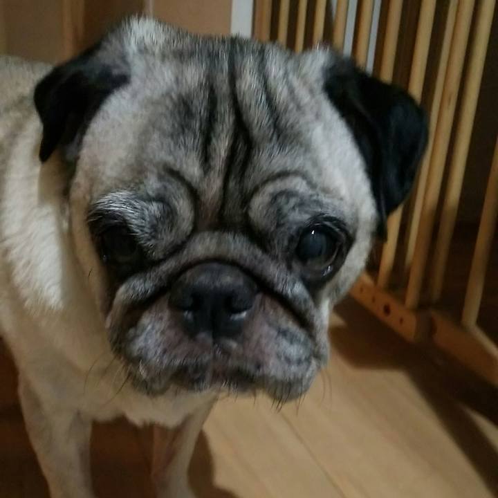 Bb9185d9 172d 4739 bcef b95475bac69b