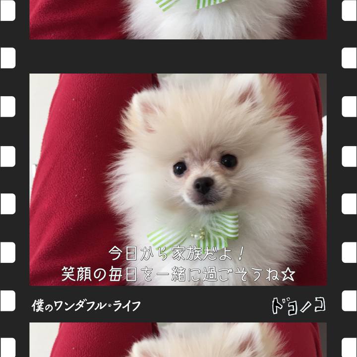 Bb91c3a9 4292 4a0d b0fb c64ff1aae4b6