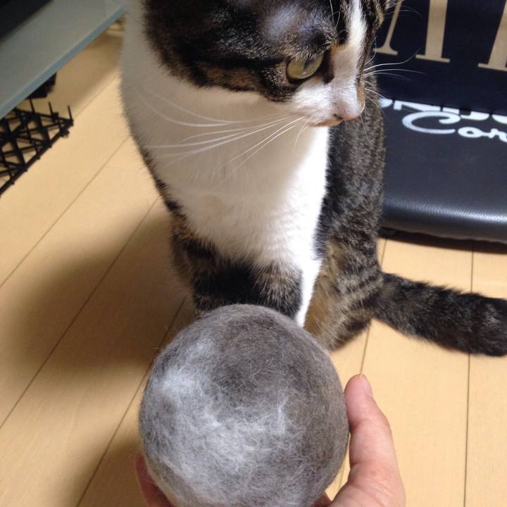 Bb91f147 e1a0 43b2 8387 f70c873a6b81