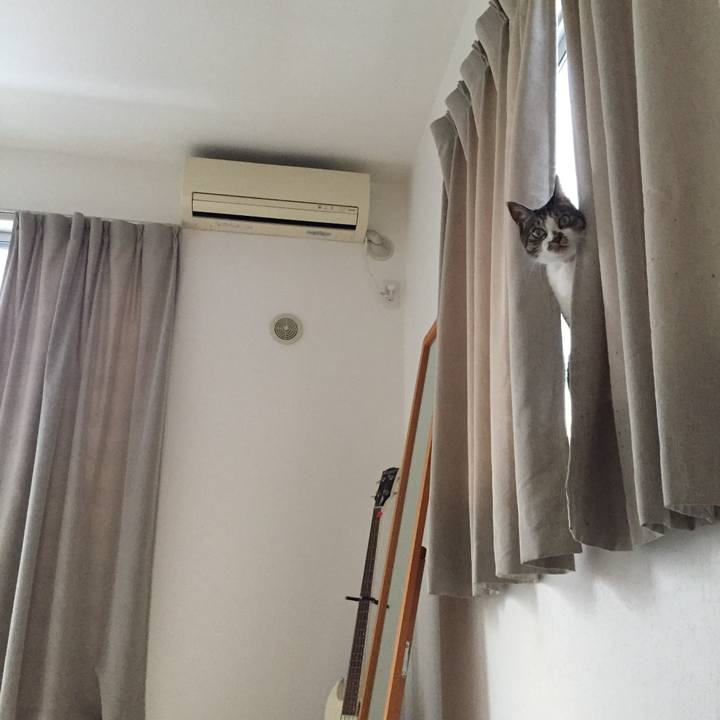 Bb9263ef a27e 4717 ac7a f827c275ed7a