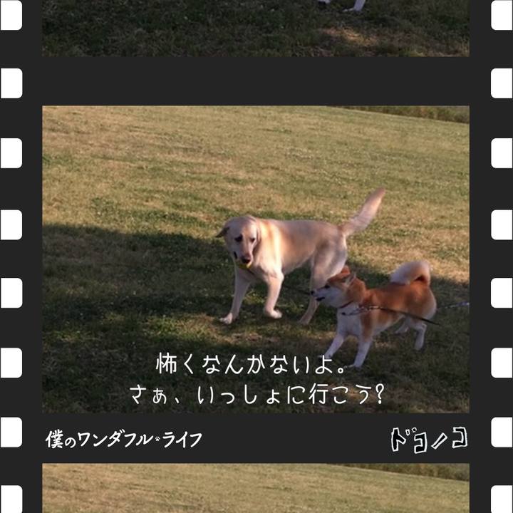 Bb926fb2 0a7f 473c bb75 0ad6c29e5477