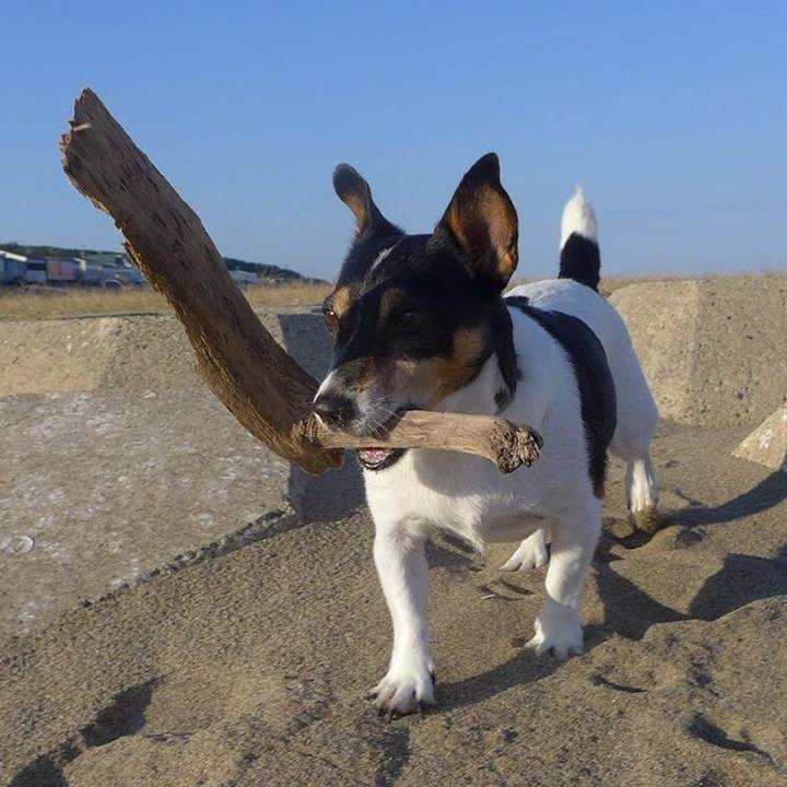 Bb92a2a1 f98c 4b53 8abb d4ce3dc90acd