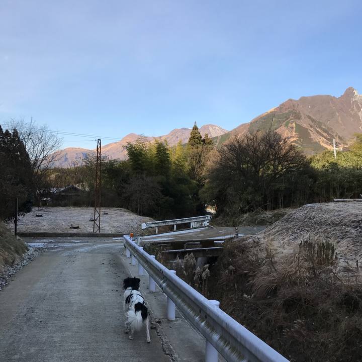 Bb933fe4 5fb3 43c1 8a93 addfb4b71be8