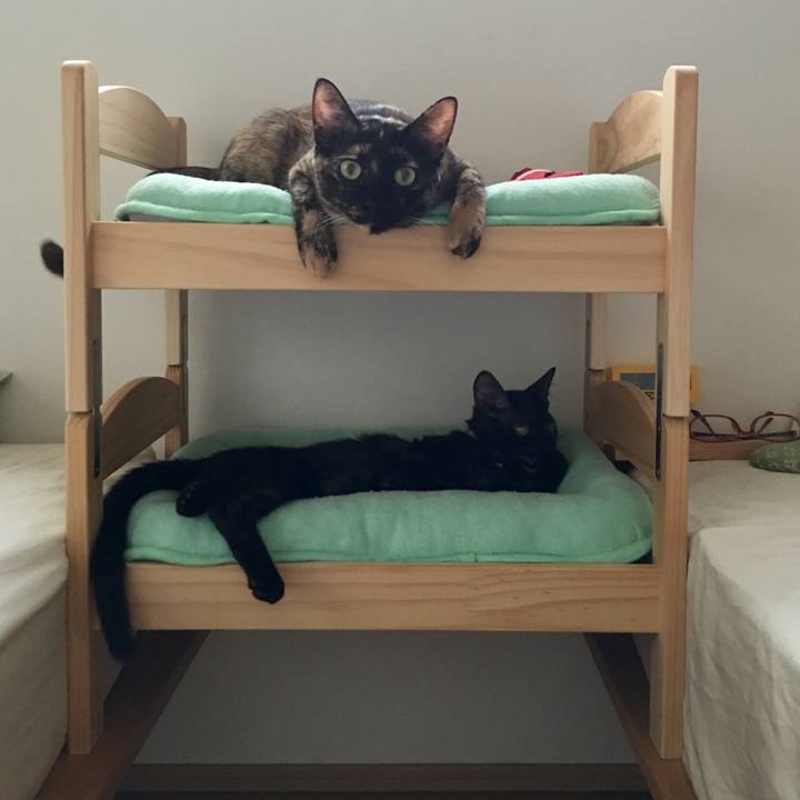 Bb937d6b bf02 4885 98db 5626a3f396ed