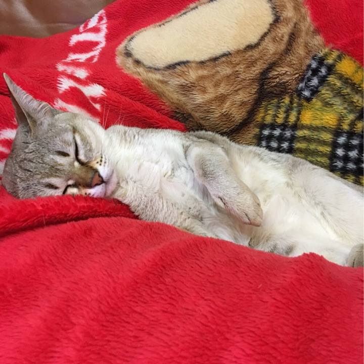 Bb939e19 461f 45f8 b424 3e736e156efc