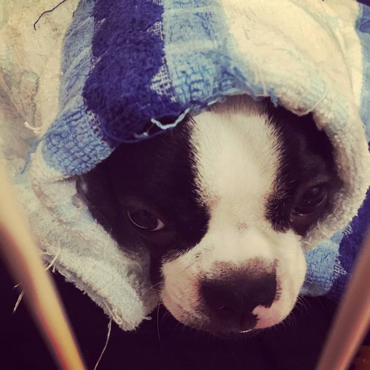 Bb93c343 e3f4 4080 acf8 352185418575