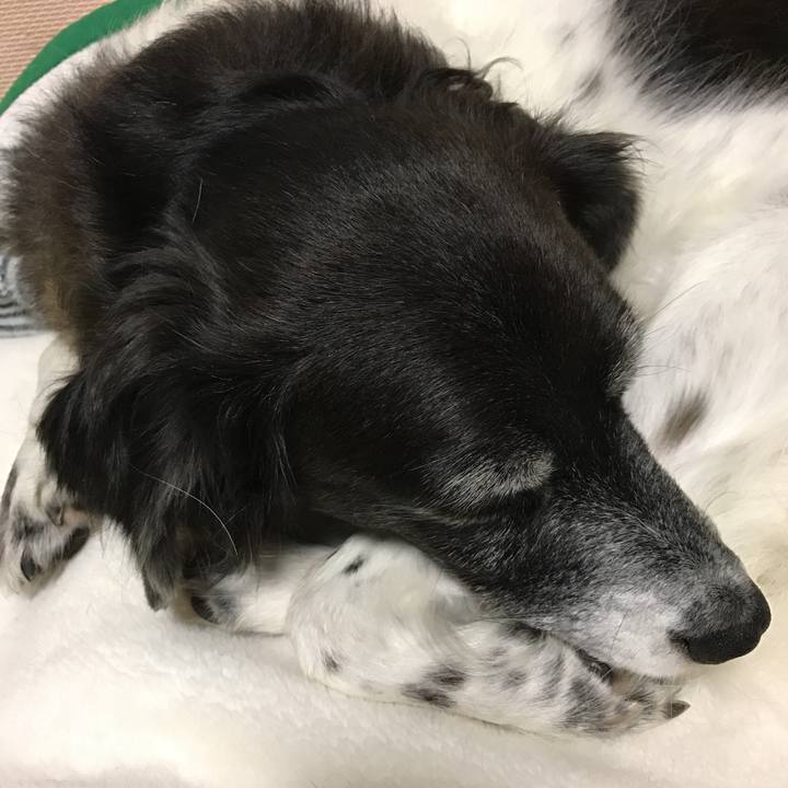 Bb949686 5c77 4fa2 b504 bb84c6ef2cc2