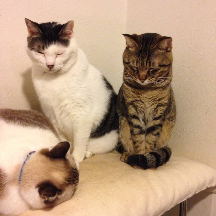 Bb9592bf c9a1 4590 b604 56bb1e0050fc