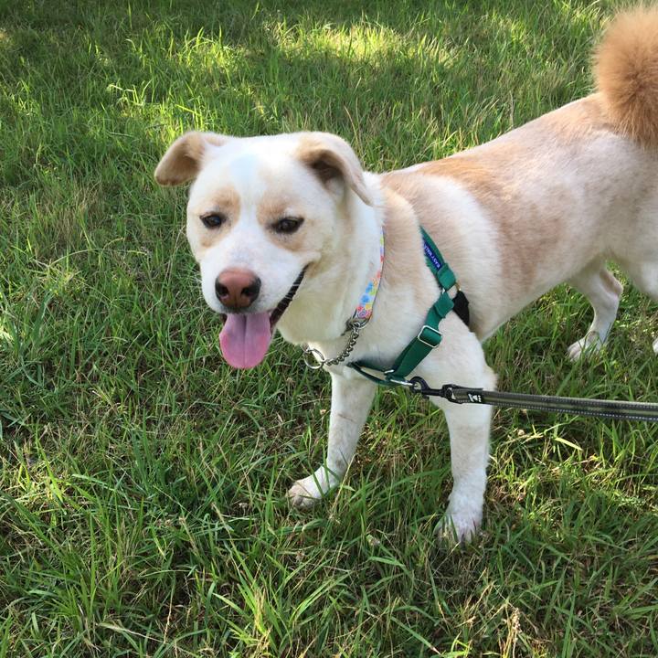 Bb977537 37a4 40ec a6b6 6ca1b5946a81