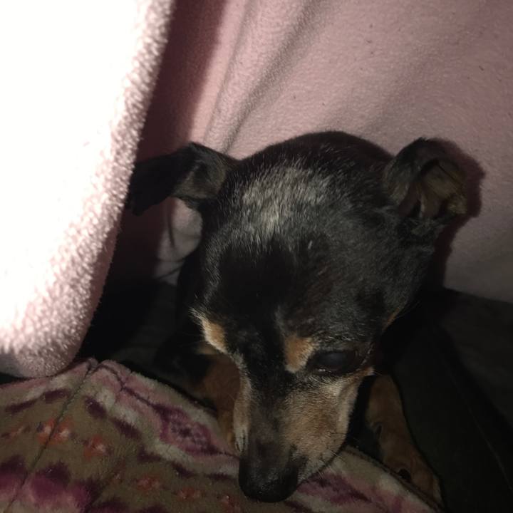 Bb9790b6 b9c6 4294 a1f5 f675872ebc44