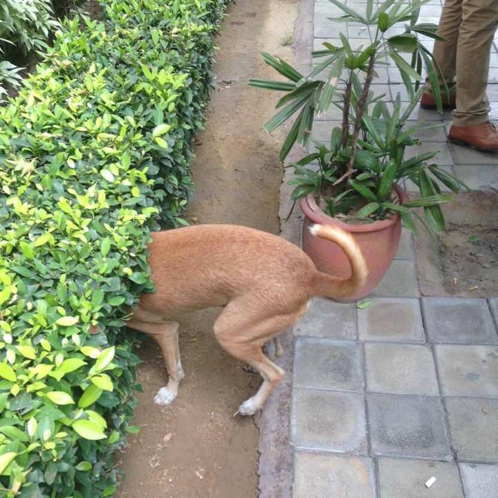 Bb9812a0 c0f6 4749 ac97 0a0561b8926e