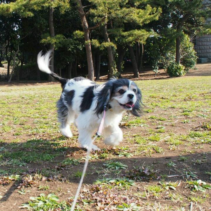 Bb983977 c9cc 436d a47e 51ac9b9a3f51