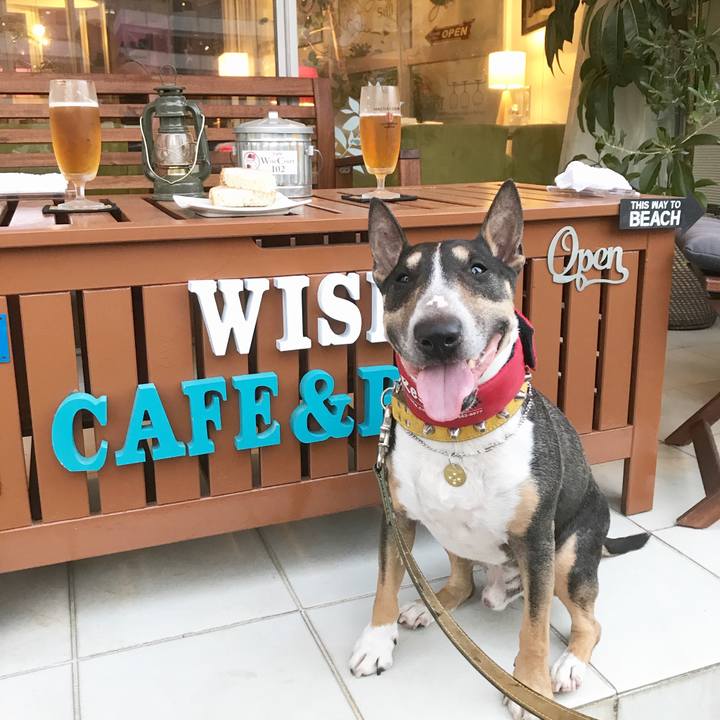 Bb986cf4 79c0 45da a76d d11304d30ba8