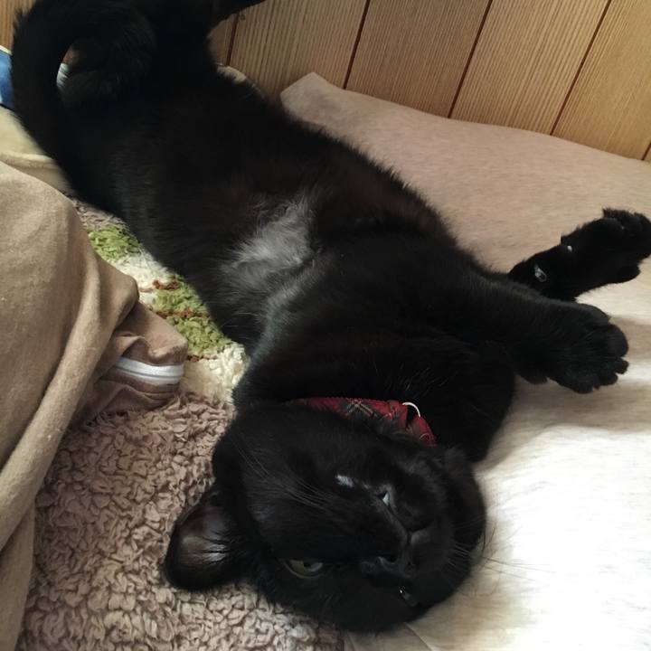 Bb988b92 ef48 41f7 8937 06ff1893ed68