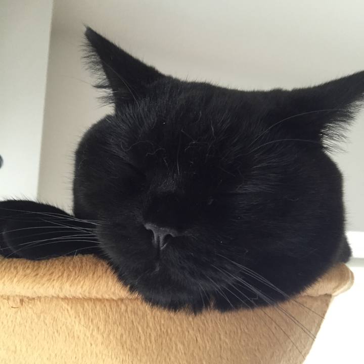 Bb98ead0 03f3 45f3 b28e 82fca17689a6