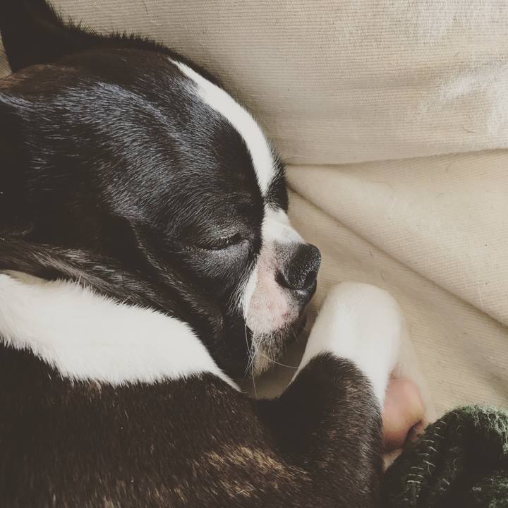 Bb99585a a0ed 44e2 bfac 3b3fcb159be9