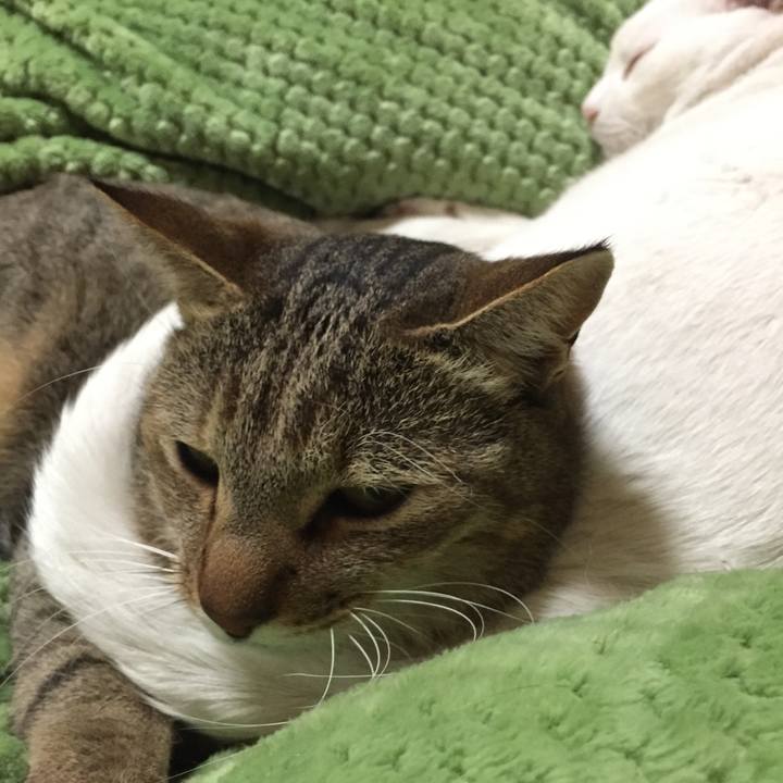 Bb998efa 8bd8 402a a7a9 9d406809bab7