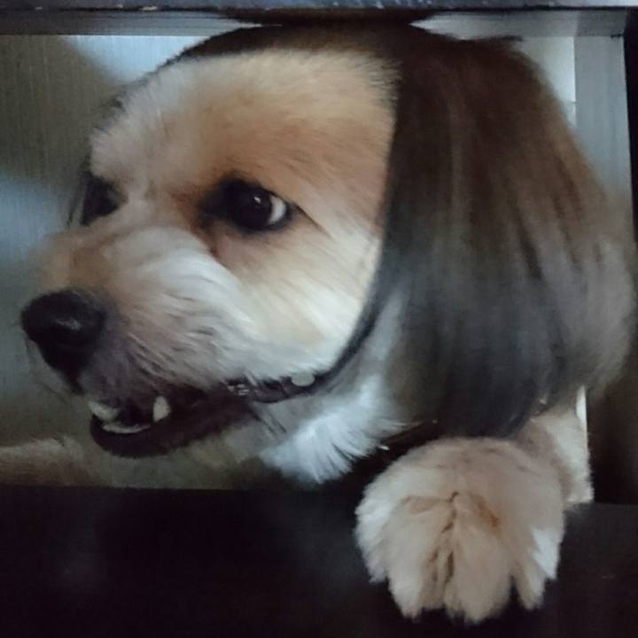 Bb99b008 decd 4c27 bbc7 65441b3c0c0f